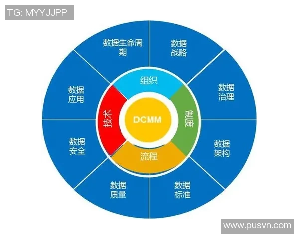 成都攀岩队技术表现数据分析与训练效果评估研究报告